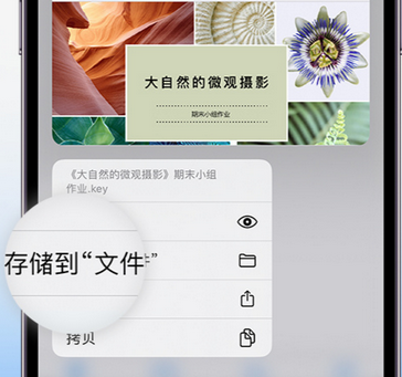 银州apple维修中心分享iPhone文件应用中存储和找到下载文件