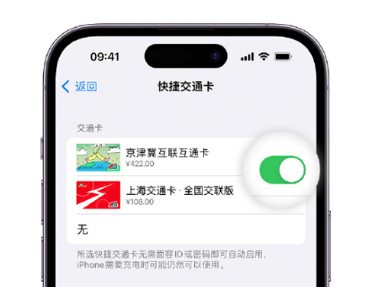 银州apple维修点分享iPhone上更换Apple Pay快捷交通卡手绘卡面 