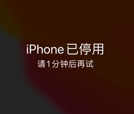 银州苹果手机维修分享:iPhone 显示“不可用”或“已停用”怎么办？还能保留数据吗？ 