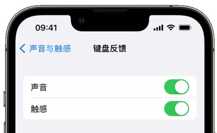 银州苹果手机维修分享iPhone 14触感键盘使用方法 