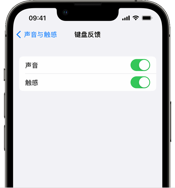 银州苹果14维修店分享如何在 iPhone 14 机型中使用触感键盘 