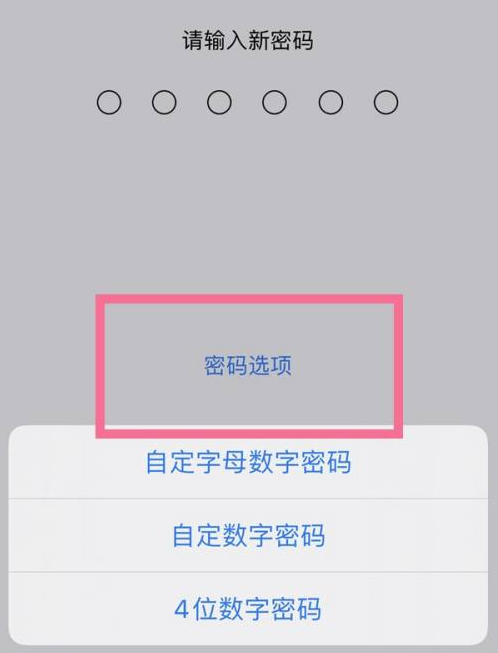 银州苹果14维修分享iPhone 14plus设置密码的方法 