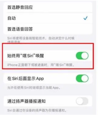 iOS 16上隐藏的Siri的四种新用法