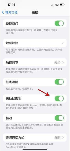 银州苹果手机维修分享iPhone手机如何设置摇一摇删除文字 