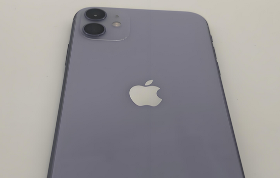 银州苹果11系统维修分享iPhone11手机系统崩溃无法开机如何解决 